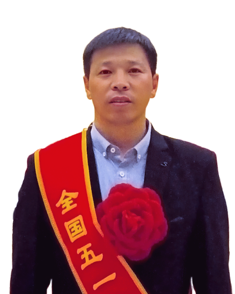 网上的人imToken官网下载民日报