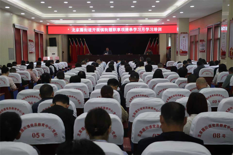 乡镇（街道）开展镇街履职事项清单学习月学习培训