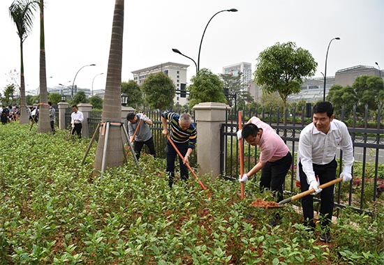 广西应急厅义务植树现场