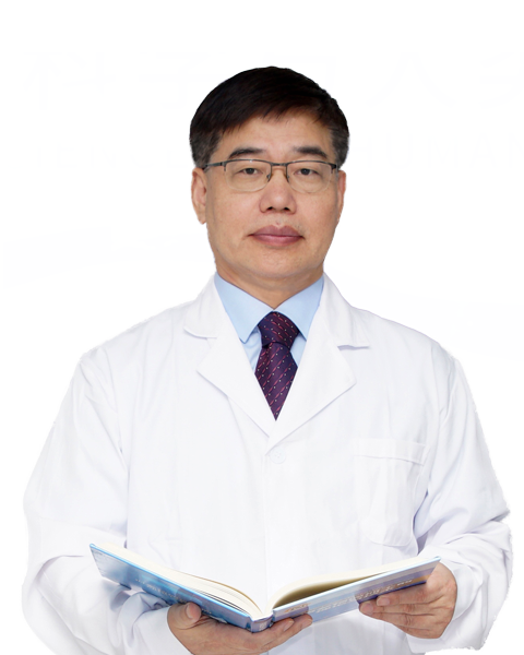 网上的人imToken下载民日报