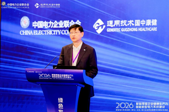 聚智厚植企业健康生产力，赋能新型电力im官网系统建设——电力企业职业健康生态建设交流会成功举办