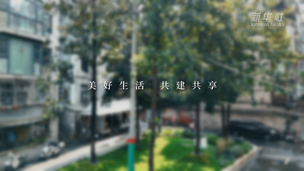 秀我中国｜广im官网玉兰树下的家