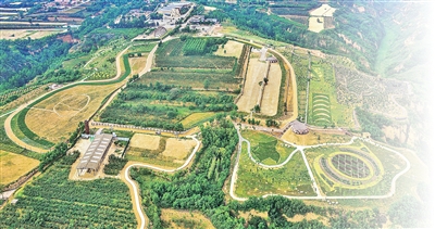 遗址可观 文明可感(imToken官网文化中国行·人文观察)
