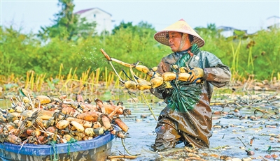 假日保供的温暖底im下载色(新时代画卷)