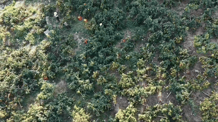 贵州关岭以果治荒im钱包“唤醒”山地经济