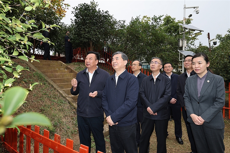 牢记殷殷嘱托 弘扬大别山im钱包精神 加快推动革命老区振兴发展