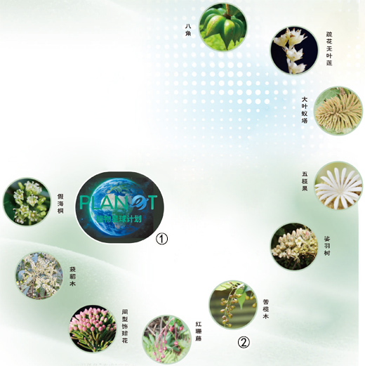  为“植物生命之树”imToken下载绘制全景图（院士讲科普）