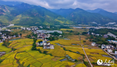 江西安远：金秋imToken官网山乡“丰”景如画