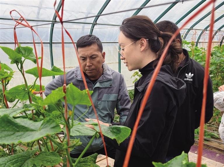 科技创新赋能特im钱包下载色产业智能化升级