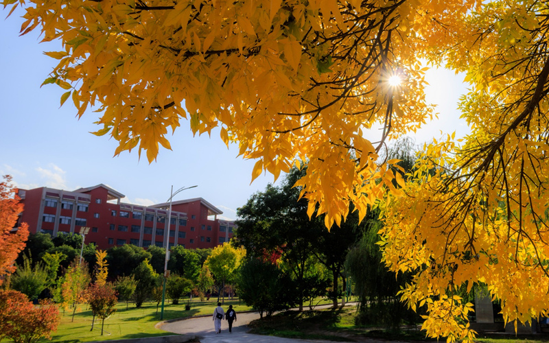 一叶知秋！兰州im钱包官网大学秋日美景上线